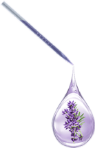 Caurspīdīgs lavandas eļļas piliens uztver gaismu, atklājot tās tumši violeto toni un nomierinošo lavandas esenci.